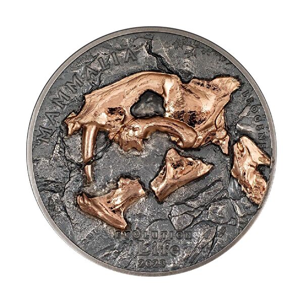 AgaKulche Külçe, Gram Gümüş