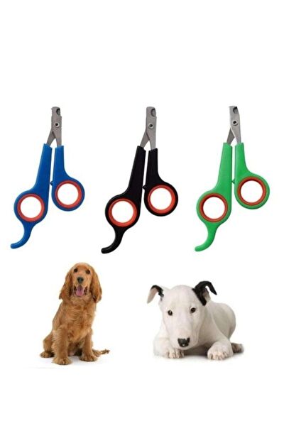 Tineke Kedi Tarak, Fırça, Makas