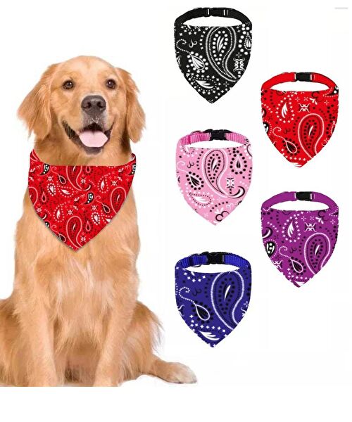 Tineke Köpek Tasmaları