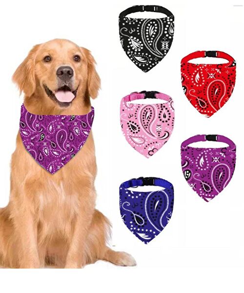 Tineke Köpek Tasmaları