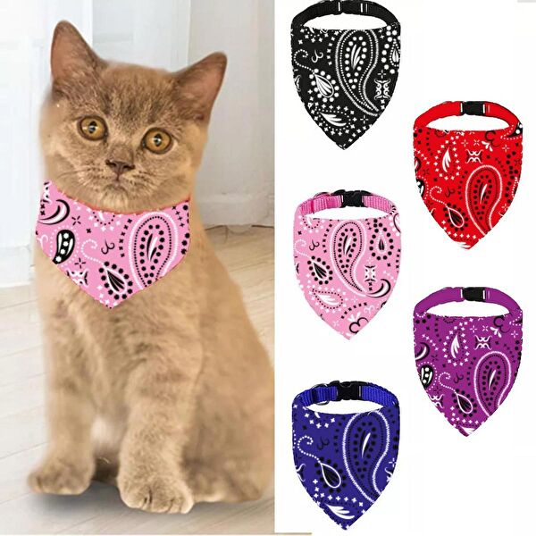 Tineke Kedi Tasmaları ve İsimlikler