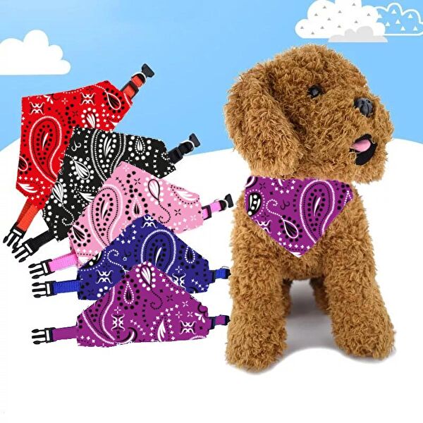 Tineke Kedi Tasmaları ve İsimlikler