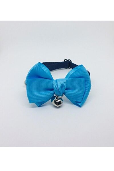 Tineke Kedi Tasmaları ve İsimlikler