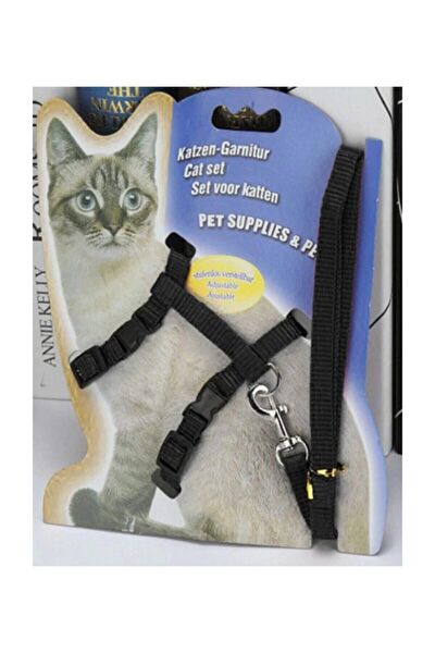 Tineke Kedi Tasmaları ve İsimlikler