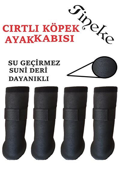 Tineke Köpek Elbisesi