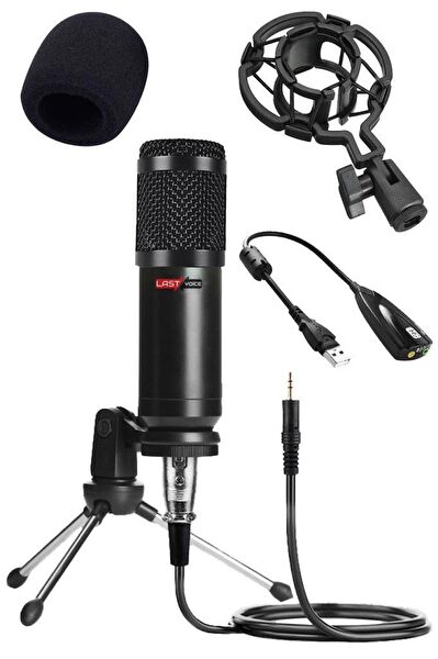 Lastvoice Mikrofon