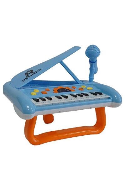 Rennes Eğitici Oyuncaklar