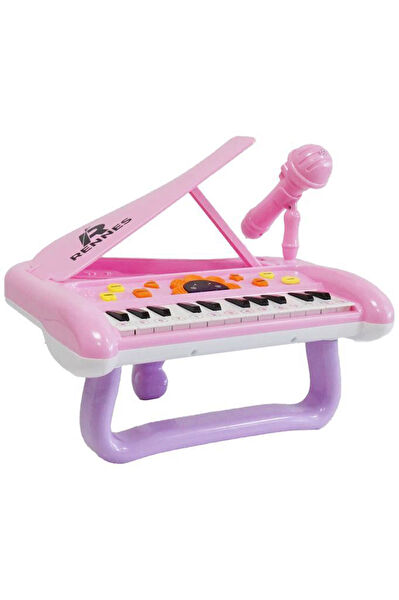 Rennes Eğitici Oyuncaklar