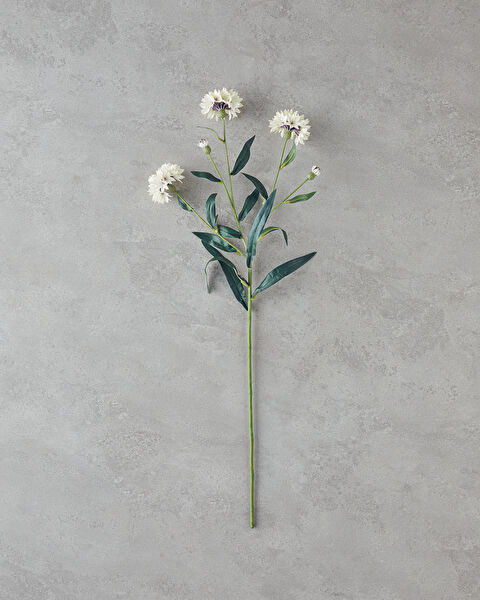 English Home Saklama Kabı