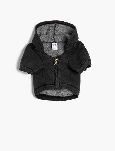 Koton Köpek Elbisesi