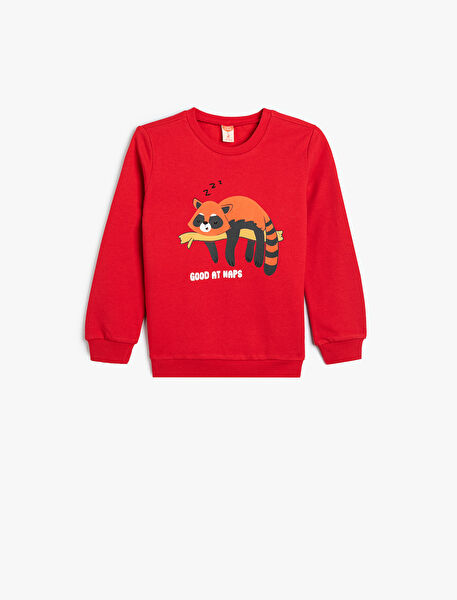 Koton Bebek Sweatshirt