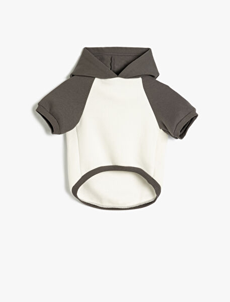 Koton Kadın Sweatshirt