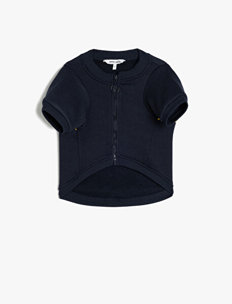 Koton Kadın Sweatshirt