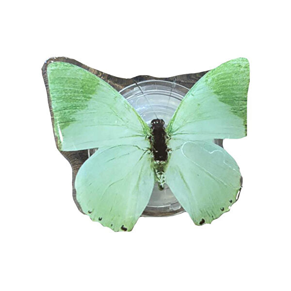 E2M Telefon ve Ipad Aksesuarları