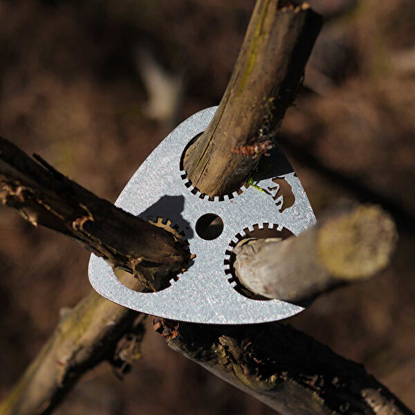 Kamp Ayısı®️ Kamp Ocağı, Kamp Sobası