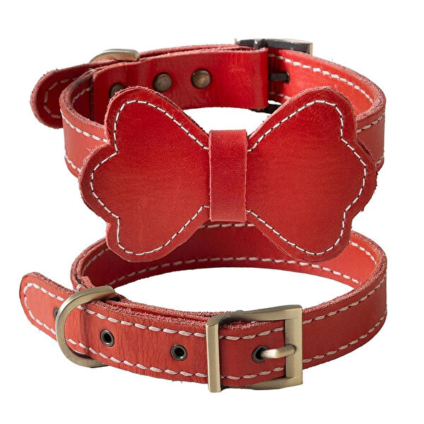 ZEYNEP BİRİNCİ Köpek Tasmaları