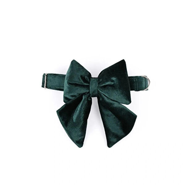 ZEYNEP BİRİNCİ Köpek Tasmaları