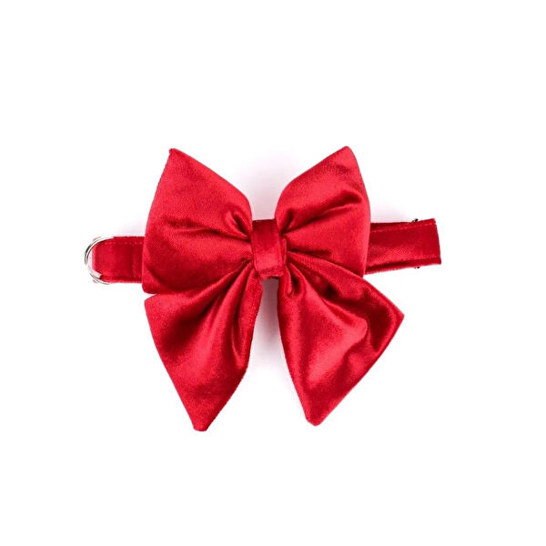 Zeynep Büyükbay Köpek Tasmaları