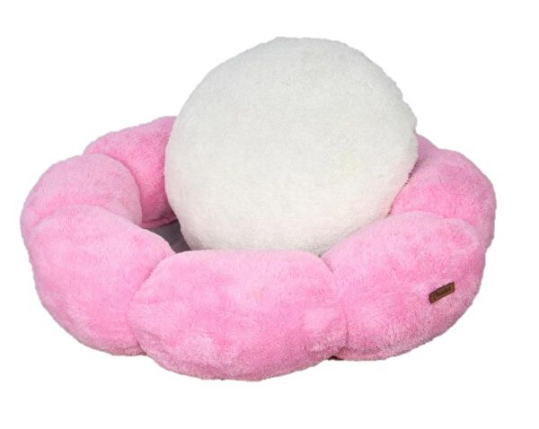 Chester Kedi Yatağı