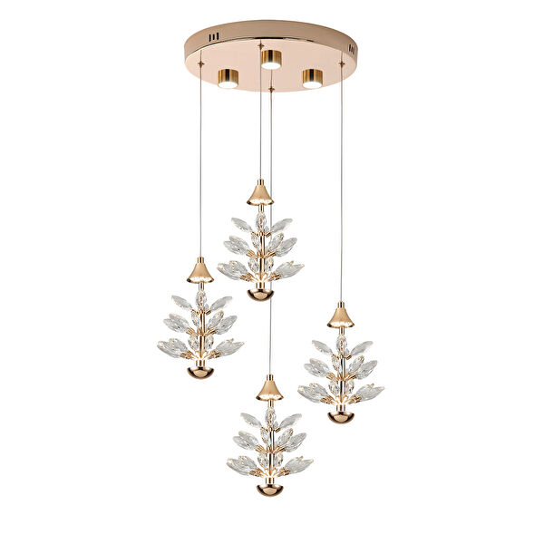 Apliqa Avize, Sarkıt