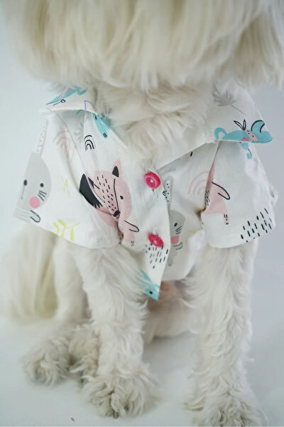 Patilinka Köpek Elbisesi