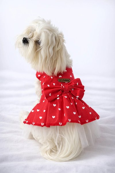 Patilinka Köpek Elbisesi