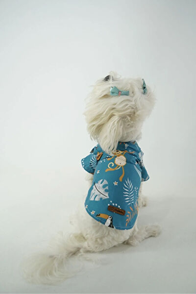 Patilinka Köpek Elbisesi