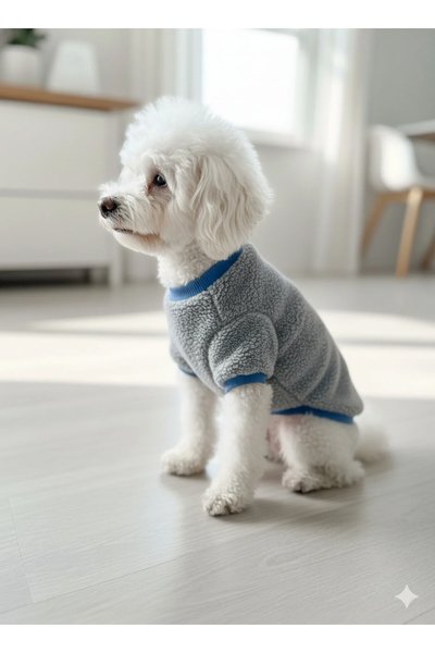Patilinka Köpek Elbisesi