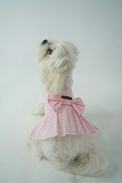 Patilinka Köpek Elbisesi