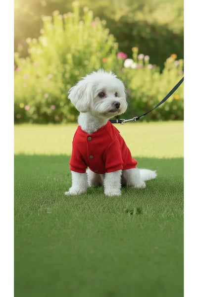 Patilinka Köpek Elbisesi