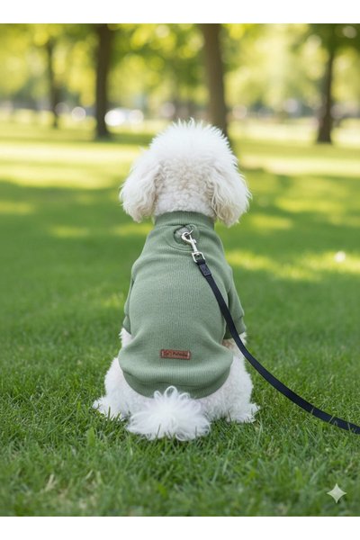 Patilinka Köpek Elbisesi