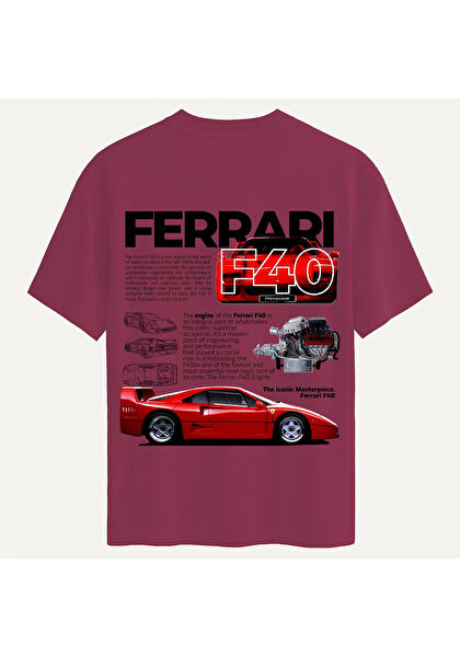 Softway Erkek Tişört