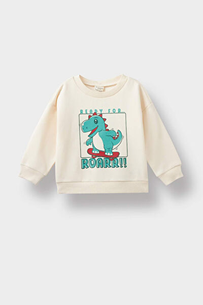 DeFacto Bebek Sweatshirt