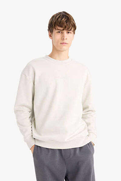 DeFacto Erkek Sweatshirt
