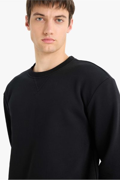 DeFacto Erkek Sweatshirt