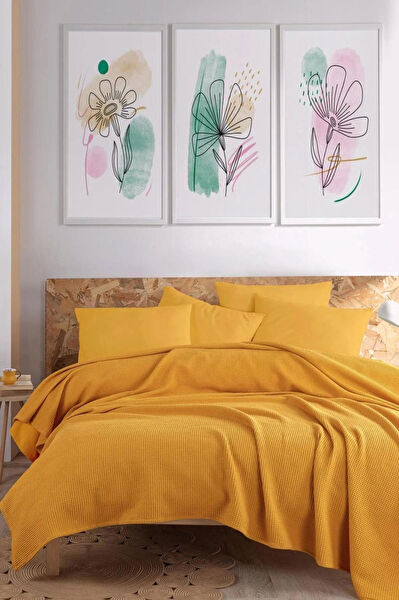 Eponj Home Pike takımı