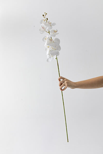 Güleç Yapay Çiçek Yapay Çiçek, Meyve