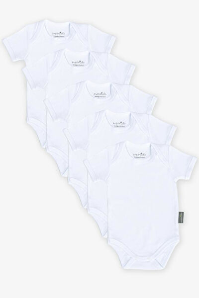 Messido Body, Zıbın