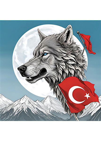 OEM Çerçevesiz Tablo