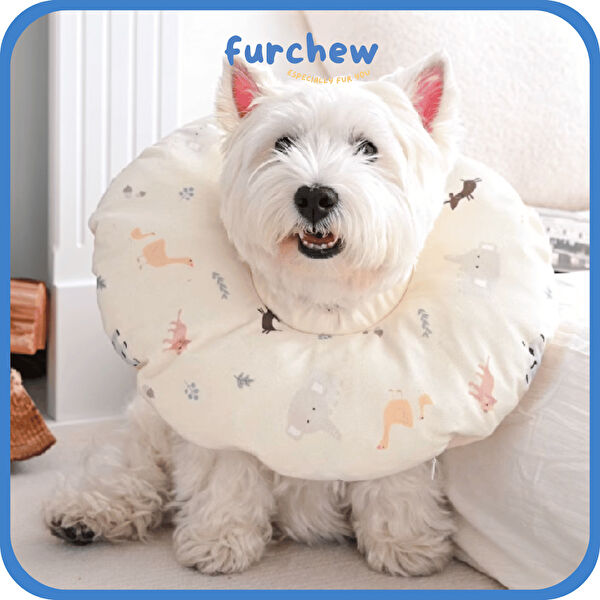 Benny Köpek Sağlık & Bakım Malzemeleri