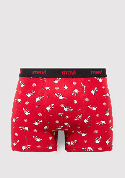 Mavi Erkek Boxer, Slip, Külot