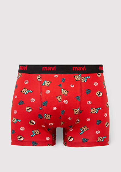 Mavi Erkek Boxer, Slip, Külot