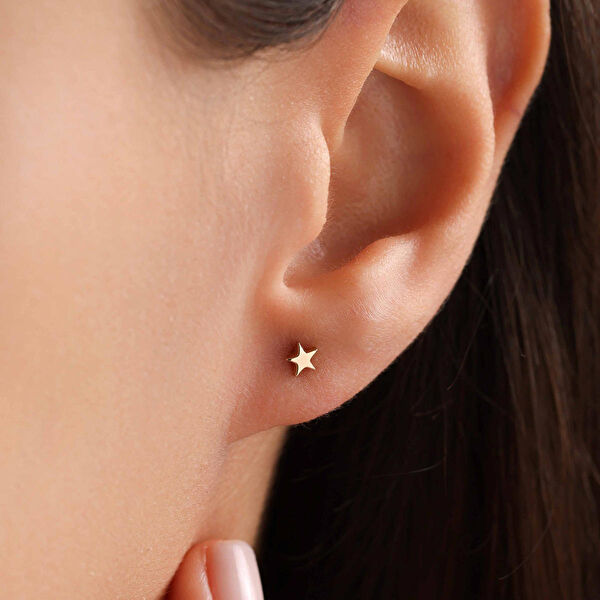 Bayar Gold Altın Küpe