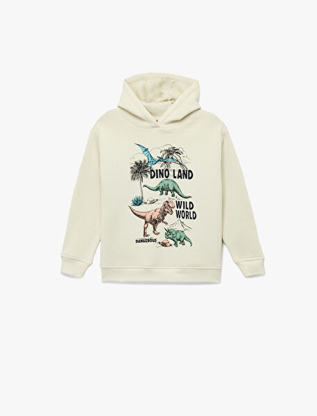Koton Erkek Çocuk Sweatshirt