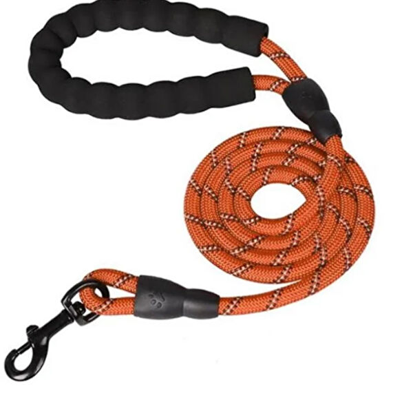 mucit home Köpek Tasmaları