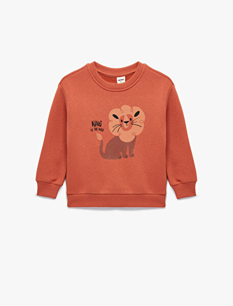 Koton Bebek Sweatshirt