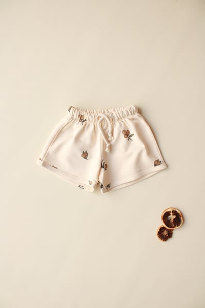 Oh La La Koala For Little Ones Bebek Pantolon, Şort