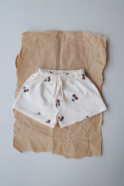 Oh La La Koala For Little Ones Bebek Pantolon, Şort