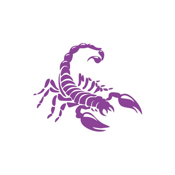 Reysa Tasarım Arma Sticker