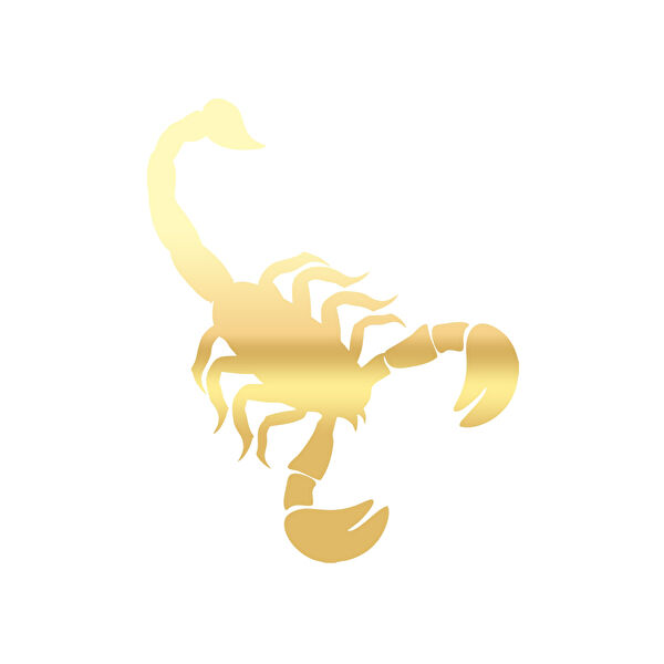 Reysa Tasarım Arma Sticker